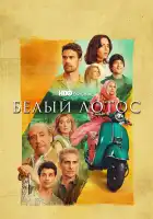 Белый лотос смотреть онлайн сериал 1-2 сезон